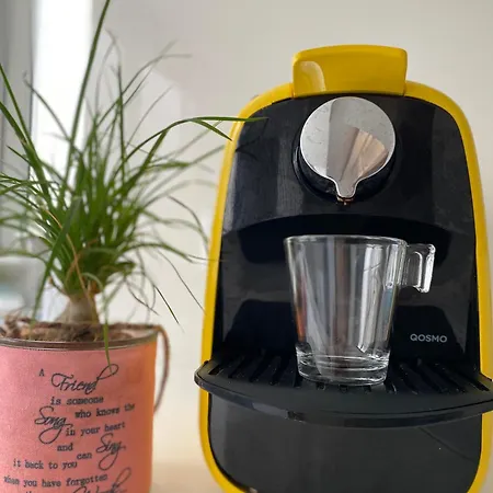 Carol House 公寓 纳扎雷