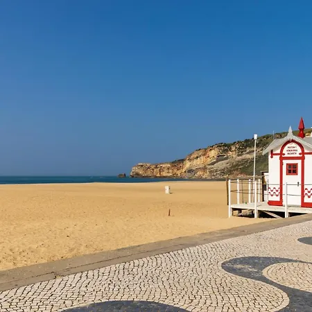 Carol House 公寓 纳扎雷