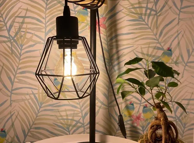 Carol House Appartement *