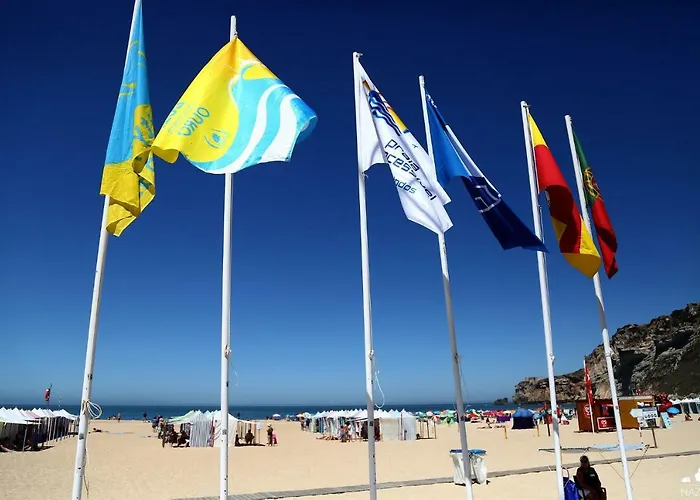 Carol House Appartamento *